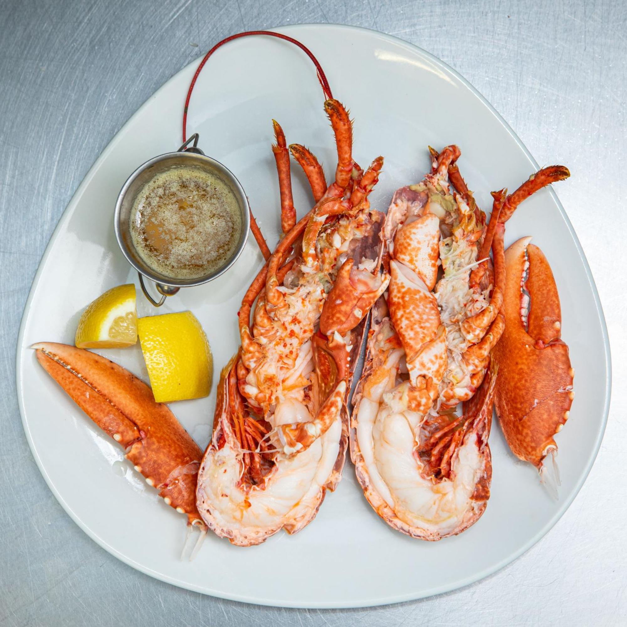 Ashes Seafood Restaurant Accommodation دينغل المظهر الخارجي الصورة