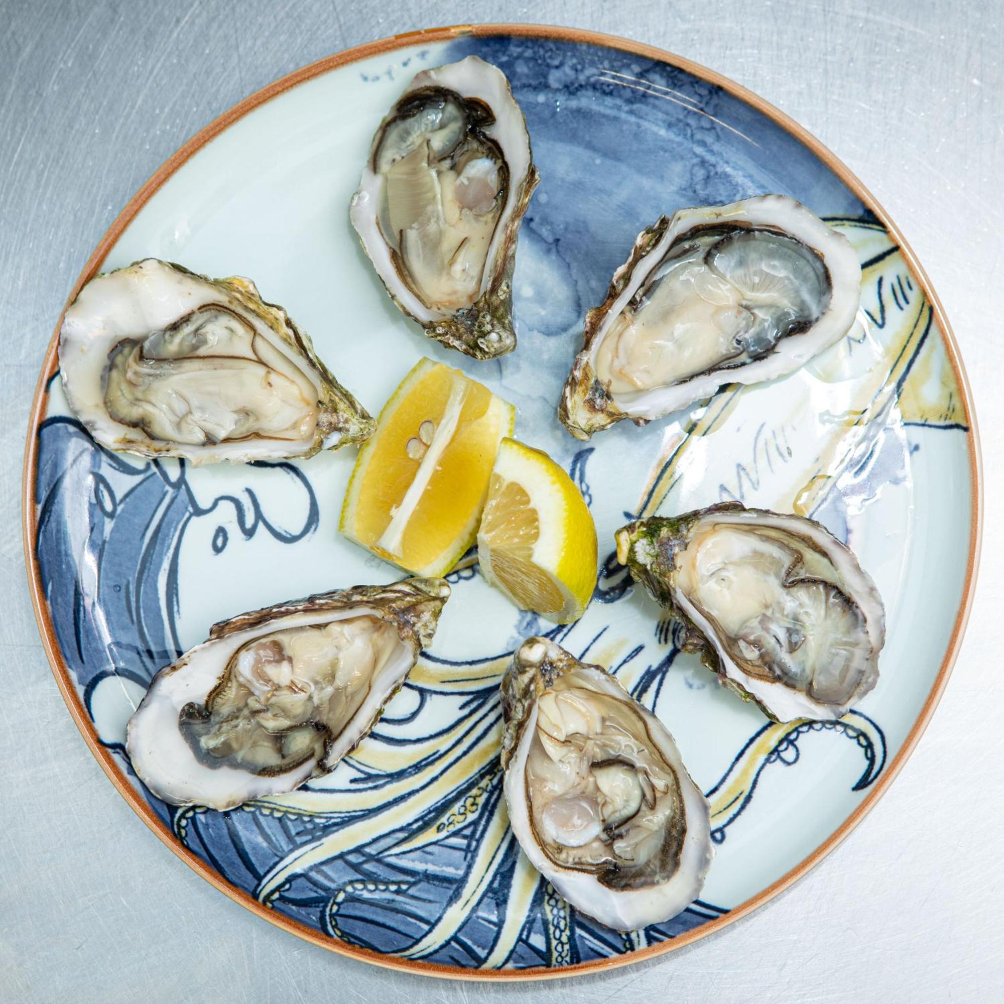 Ashes Seafood Restaurant Accommodation دينغل المظهر الخارجي الصورة